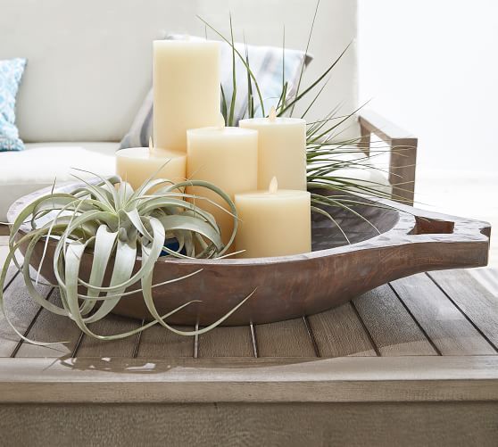 Styling Tips for Inviting Air Plant Displays