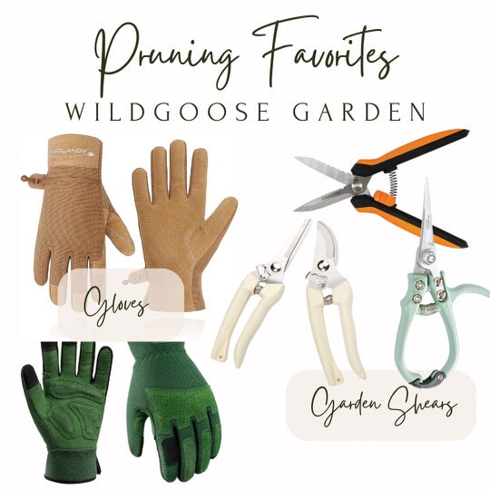 The Gardener's Edge: Perfect Your Pruning