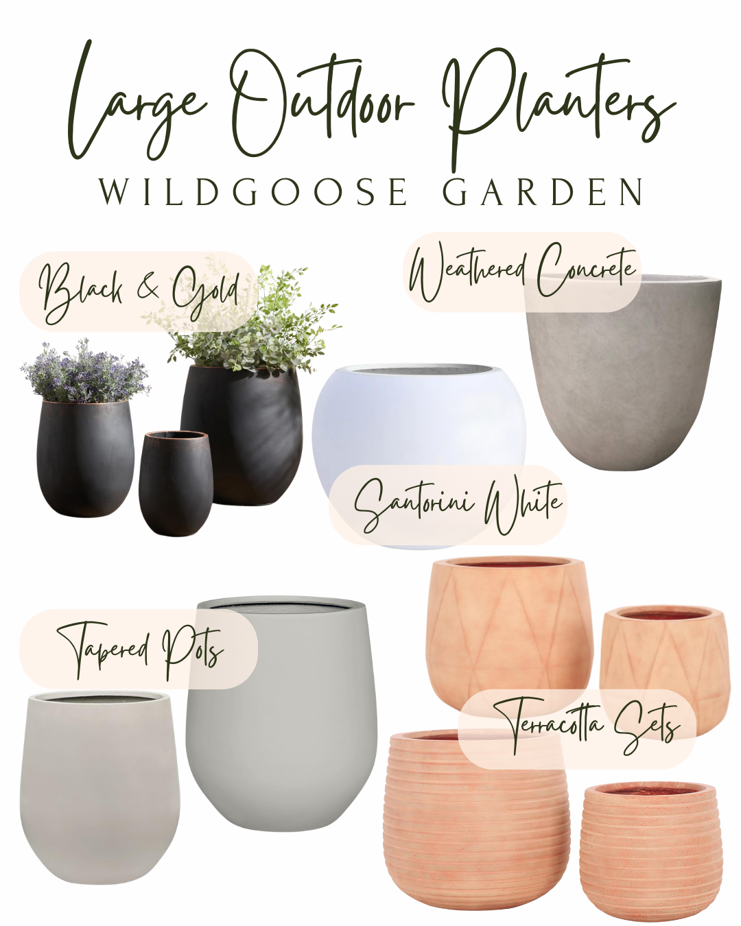 Large Outdoor Planters
