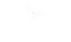 Wildgoose Garden + Pottery